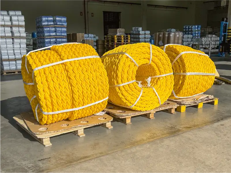 Plasmódia: rolos de cabo naval de 8 pernas na fábrica em perspectiva lateral