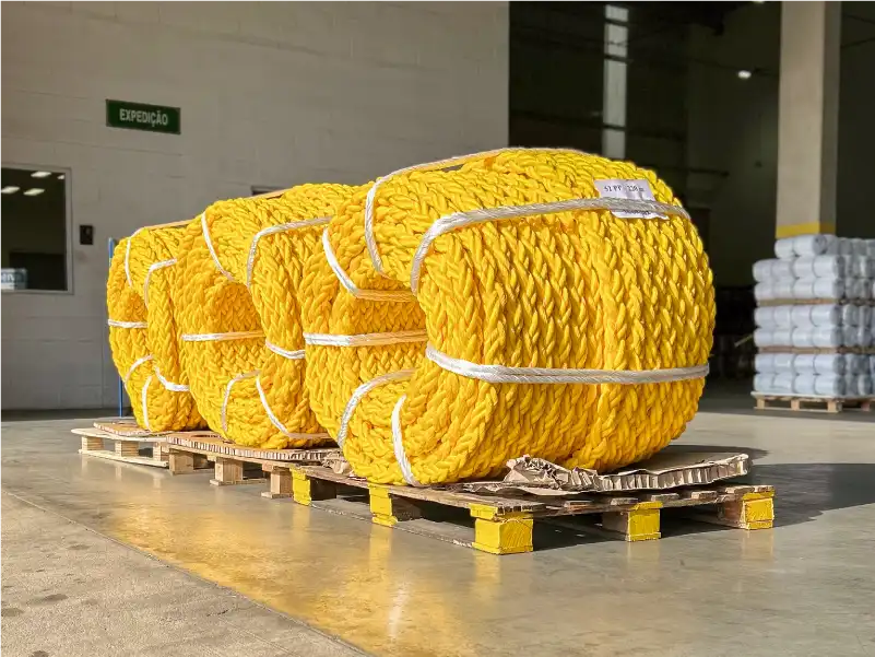 Plasmódia: 3 rolos de cabo naval de 8 pernas na fábrica em perspectiva lateral direita