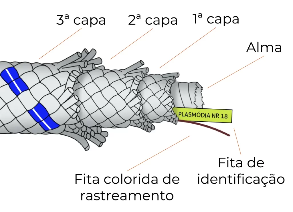 Plasmódia | Corda NR18: capa tripla